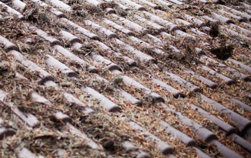 Wheatley Hills roof cleaning companies