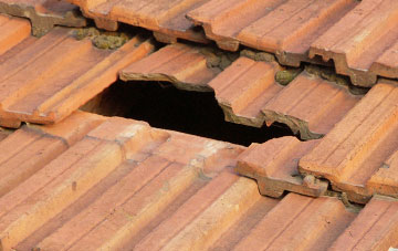 roof repair Wheatley Hills, South Yorkshire